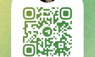 Индивидуалка фото Алиса классика + МБР (инди)